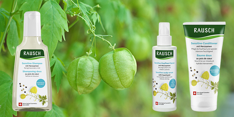 Herzsamen Pflanze und drei zertifizierte Produkte für eine irrierte hochsensible Kopfhaut